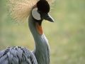 1970 Zoo Basel
