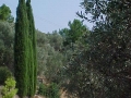 1999 Samos GR