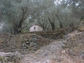 1999 Samos GR