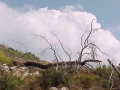 1999 Samos GR
