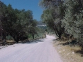1999 Samos GR