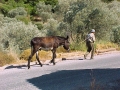 1999 Samos GR