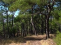 1999 Samos GR