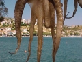 1999 Samos GR