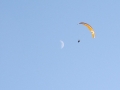 DSC03354