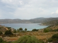 Salagona