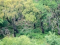 20180527-143432