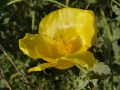 2005 Rhodos