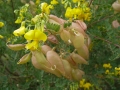 2005 Rhodos
