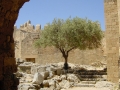 DSC03434LindosAkropolis