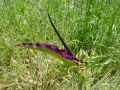 DSC03478