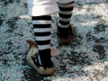 1976 Basler Fasnacht