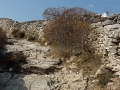 2000 Sifnos GR