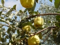 Chios im Norden