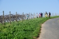 2019 Rhein-Mosel, April 2019 Rhein-Mosel, April
