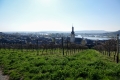 2019 Rhein-Mosel, April 2019 Rhein-Mosel, April
