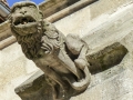 Schiffsreise Saône-Rhône