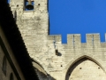 Schiffsreise Saône-Rhône