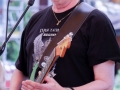 Larry's Blues Band
