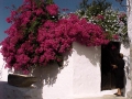 Patmos GR