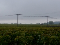 Schiffsreise Saône-Rhône