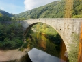 Schiffsreise Saône-Rhône