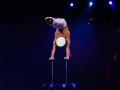 Zirkus Knie 2008