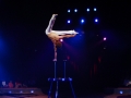 Zirkus Knie 2008