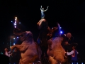 Zirkus Knie 2008