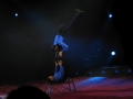 Zirkus Knie 2008