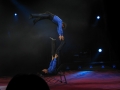 Zirkus Knie 2008